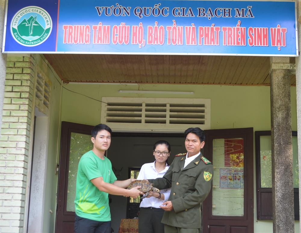 Tiếp nhận cá thể rùa núi viền từ người dân. Ảnh: VQG Bạch Mã cung cấp
