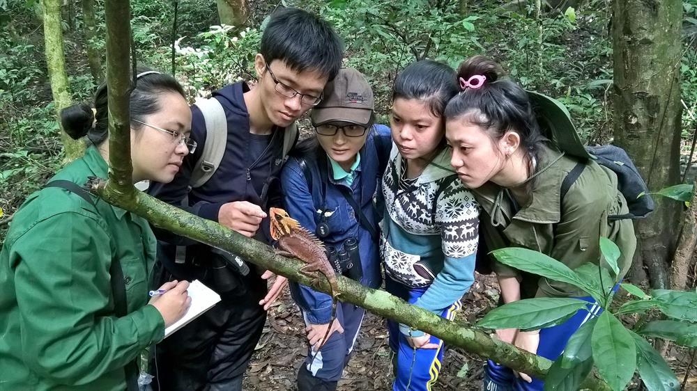 “Tôi yêu Sơn Trà” giới thiệu một loài bò sát đặc hữu được ghi nhận tại Khu Bảo tồn Thiên nhiên Sơn Trà
