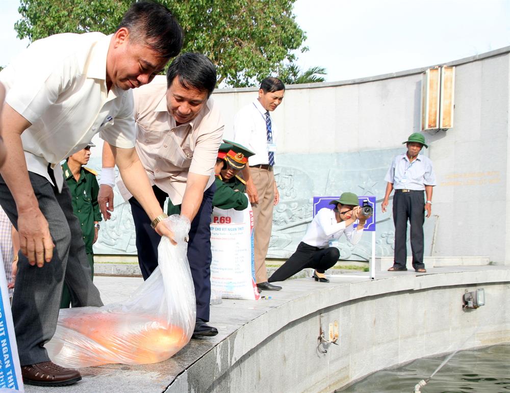 Cá ở hồ cá Bác Hồ được thả tại khu hành lễ NLTS Quốc gia Đường 9. Ảnh: Hưng Thơ.