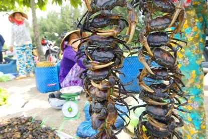 Chợ cua đồng miền Tây