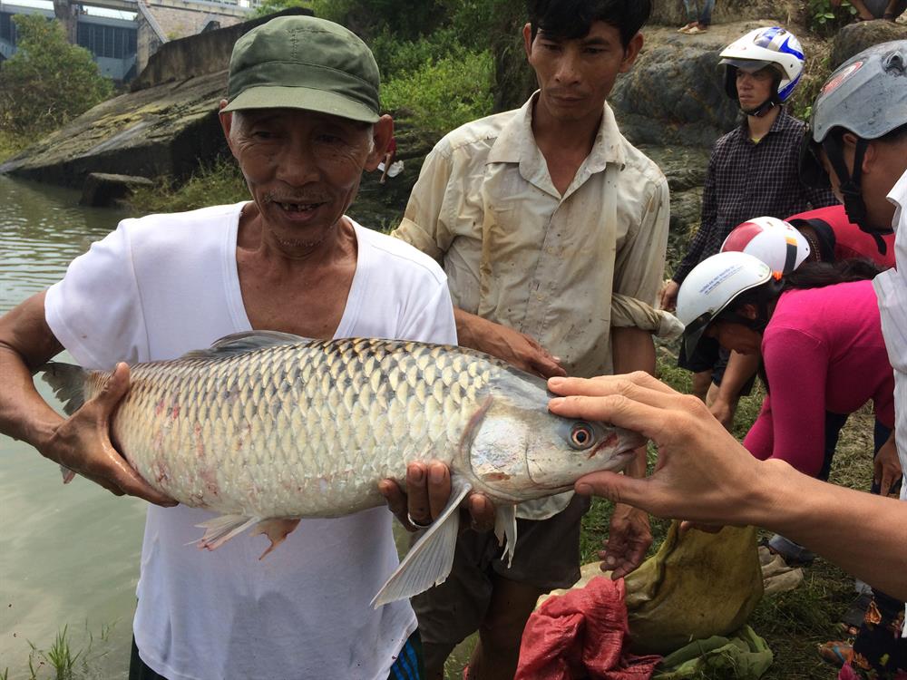 Một người đánh lưới chia sẻ: Những người dùng chài ít cơ hội bắt được cá hơn những người dùng kích điện. Khi họ đến gần thì tôi phải tránh đi nơi khác để tránh điện giật.