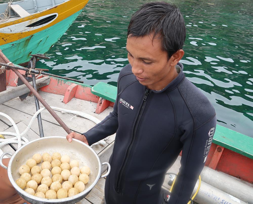 trứng rùa