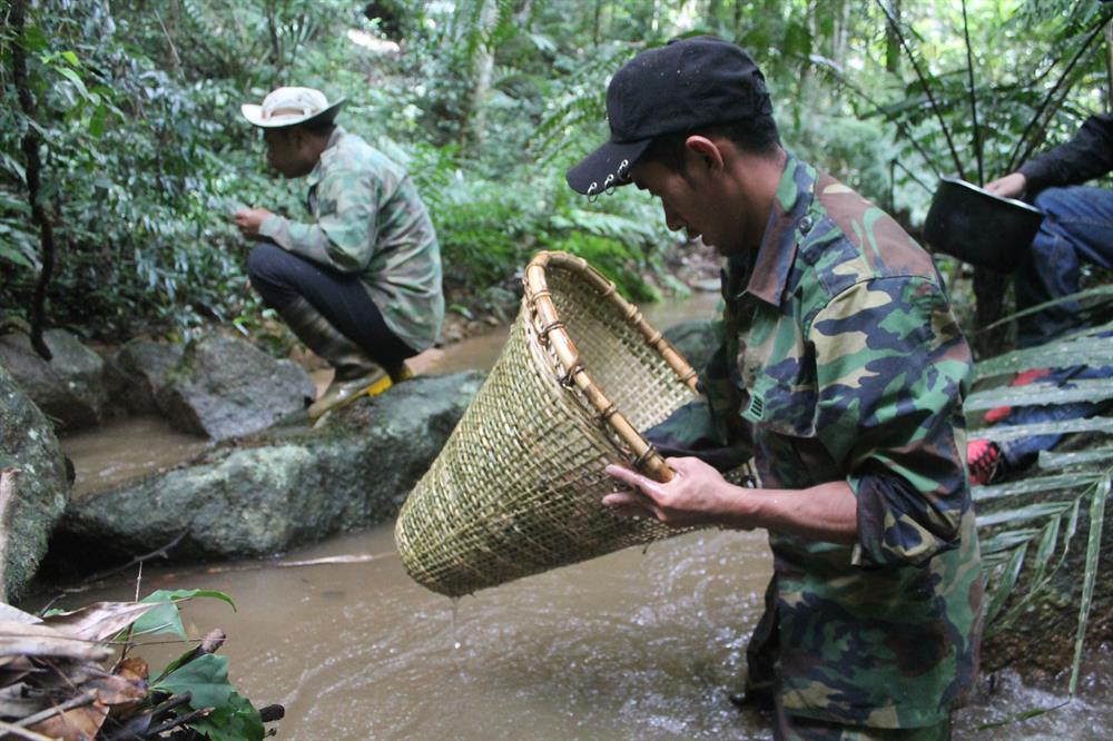 Kỳ thú “săn”... nòng nọc giữa rừng Tây Nguyên
