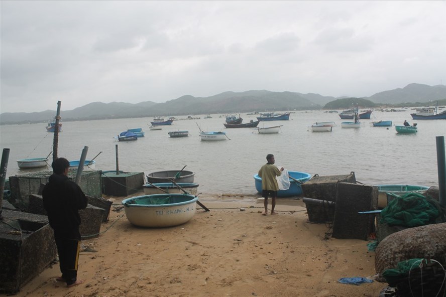 Vùng nuôi thủy, hải sản ở thị xã Sông Cầu, tỉnh Phú Yên. Ảnh: Nhiệt Băng