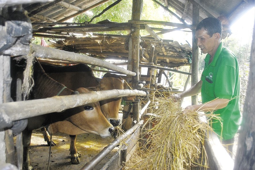 Ãng Bình là tấm gương sáng cho nhiá»u ngưá»i noi theo.