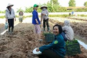 Cô gái trọc đầu trồng… cỏ dại Cô gái trọc đầu trồng… cỏ dại