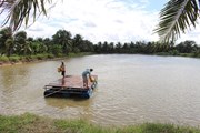 “Điều chỉnh đường bơi” cho cá tra Việt Nam “Điều chỉnh đường bơi” cho cá tra Việt Nam