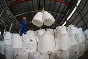 Cty Nhôm Đắk Nông: Bứt phá trong sản xuất và tiêu thụ alumina Cty Nhôm Đắk Nông: Bứt phá trong sản xuất và tiêu thụ alumina
