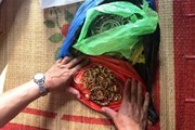 Bắt giữ 2 đối tượng trộm hơn 200 lượng vàng Bắt giữ 2 đối tượng trộm hơn 200 lượng vàng