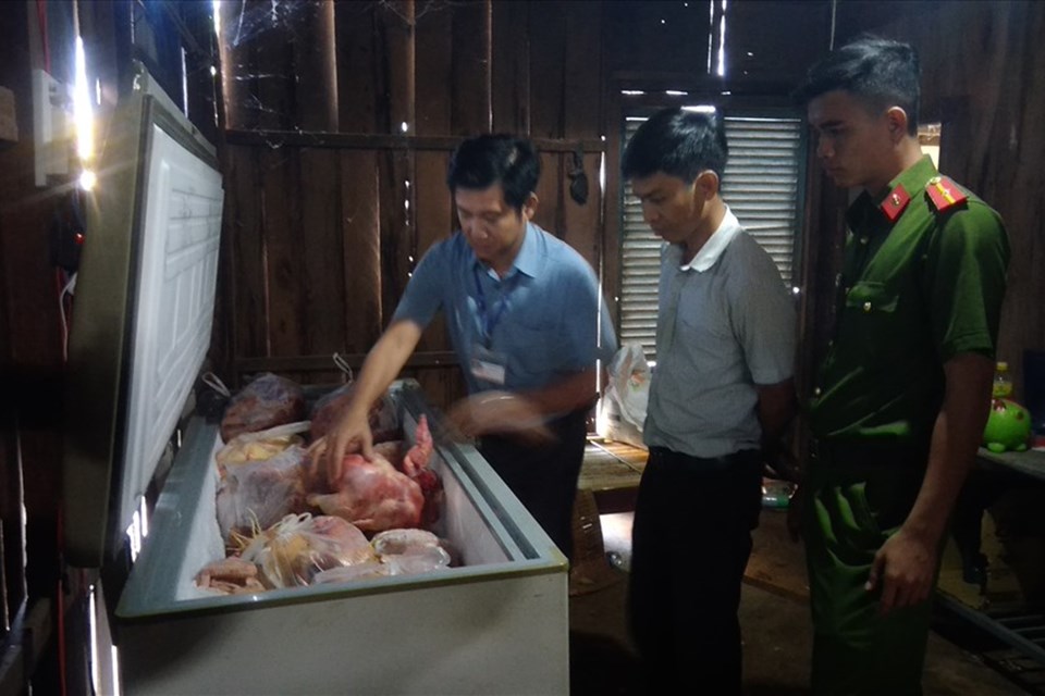 Tiêu hủy gần 1 tạ thịt gà thâm tím, không có dấu kiểm soát giết mổ Tiêu hủy gần 1 tạ thịt gà thâm tím, không có dấu kiểm soát giết mổ