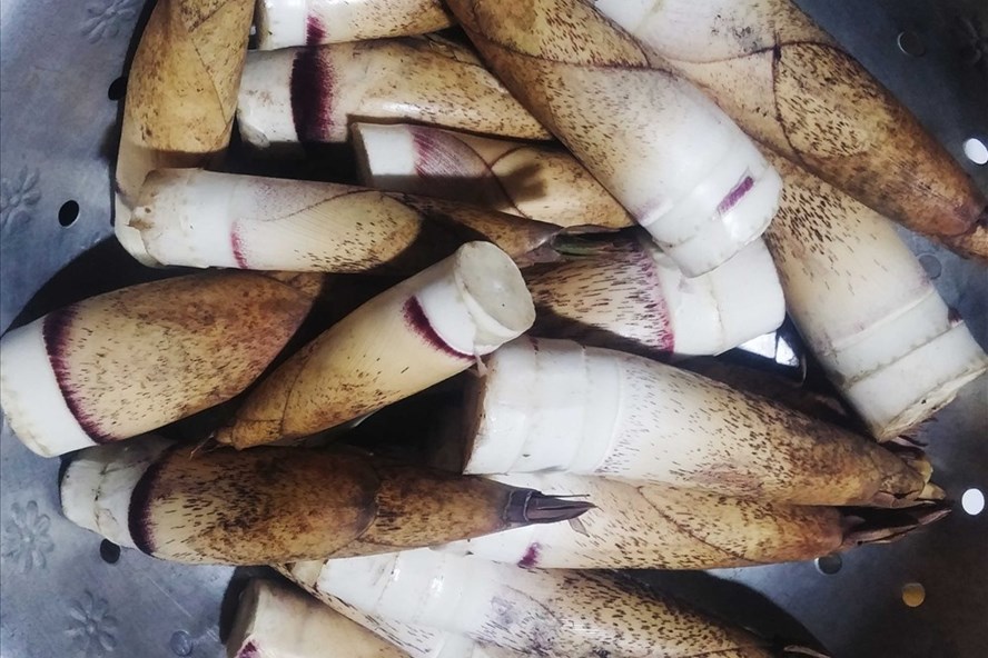 Măng ngọt đầu mùa. Ảnh. Hoàng Huế