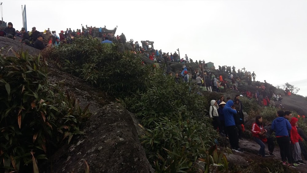 sang mai khai hoi xuan yen tu