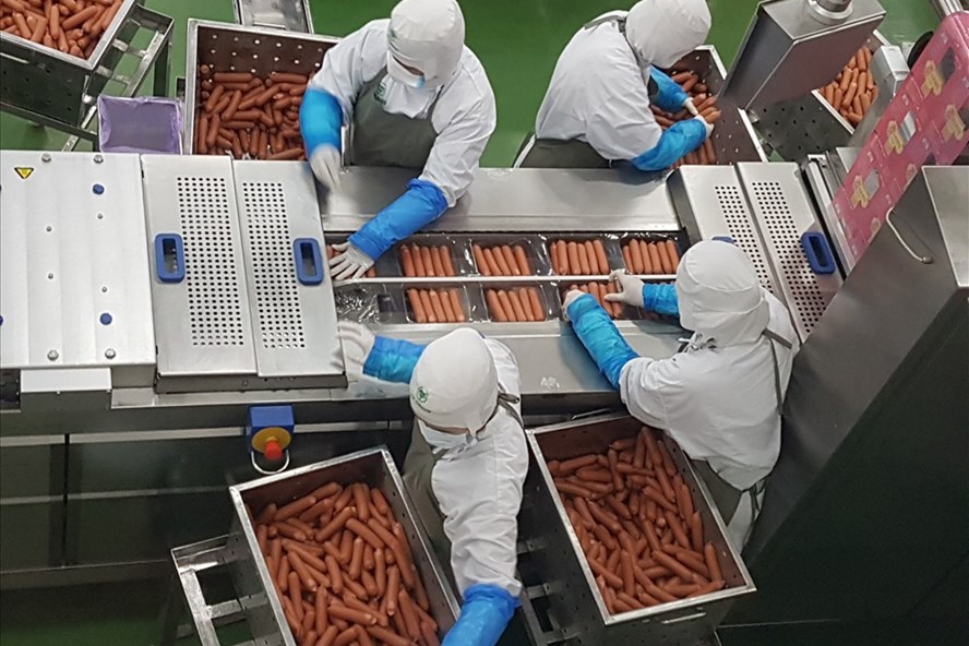 Nhiều chuyên gia kinh tế cho rằng, nếu không tái cơ cấu lại ngành chăn nuôi, sẽ rất khó cạnh tranh với các sản phẩm chăn nuôi của 11 nước CPTTP. Ảnh: Kh.V