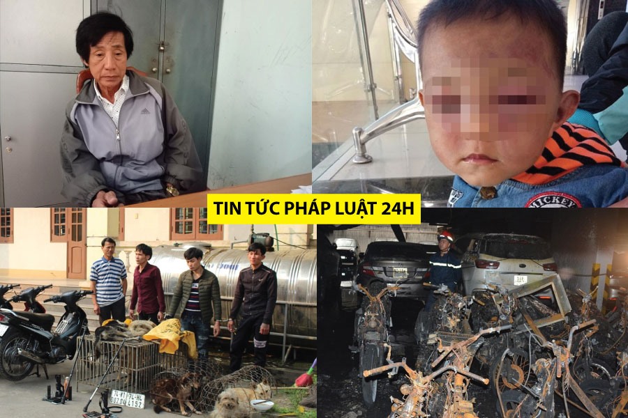 tin nhanh phap luat - tin phap luat moi nhat