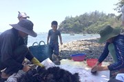 Dự án FLC tại Quảng Ngãi: Chọn dân chứ không phải nhà đầu tư nào, dự án lớn hay nhỏ Dự án FLC tại Quảng Ngãi: Chọn dân chứ không phải nhà đầu tư nào, dự án lớn hay nhỏ