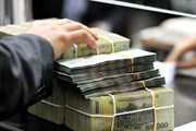 Hạn chế việc cấp mới bảo lãnh Chính phủ cho các khoản vay Hạn chế việc cấp mới bảo lãnh Chính phủ cho các khoản vay