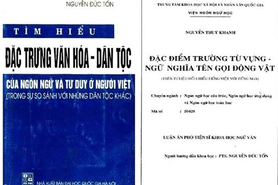 Nội dung sách của Giáo sư Nguyễn Đức Tồn có nhiều trang giống như luận án của nghiên cứu sinh do chính ông hướng dẫn.