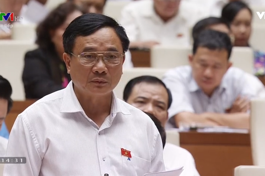 Đại biểu Mai Sĩ Diến.