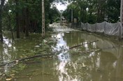  Ngoại thành Hà Nội ngập úng: Dân "khát" nước sạch