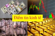 Điểm tin kinh tế: Chứng khoán Việt Nam mất gần 17 điểm; Giá Bitcoin lội ngược dòng ngoạn mục Điểm tin kinh tế: Chứng khoán Việt Nam mất gần 17 điểm; Giá Bitcoin lội ngược dòng ngoạn mục