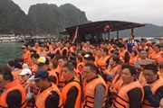 Vật vã đối mặt với tour 0 đồng Vật vã đối mặt với tour 0 đồng
