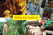 Điểm tin kinh tế sáng: Giá USD lần đầu giảm; Giá vàng gây hồi hộp; Bitcoin chấm dứt đà sụt giá Điểm tin kinh tế sáng: Giá USD lần đầu giảm; Giá vàng gây hồi hộp; Bitcoin chấm dứt đà sụt giá
