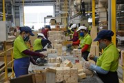 Nông sản tiếp tục là “trục chính” trong tổng giá trị xuất siêu năm 2018 Nông sản tiếp tục là “trục chính” trong tổng giá trị xuất siêu năm 2018