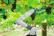 Tăng cường liên kết nghiên cứu khoa học trong phát triển công nghệ rô bốt Tăng cường liên kết nghiên cứu khoa học trong phát triển công nghệ rô bốt