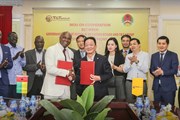 Tập đoàn T&T Group dự kiến thu mua toàn bộ sản lượng hạt điều thô của Guinea Bissau Tập đoàn T&T Group dự kiến thu mua toàn bộ sản lượng hạt điều thô của Guinea Bissau