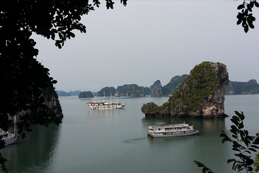 Theo Ban quản lý vịnh Hạ Long, tỉnh Quảng Ninh đã tạm dừng đóng tàu mới từ lâu. Ảnh: Nguyễn Hùng