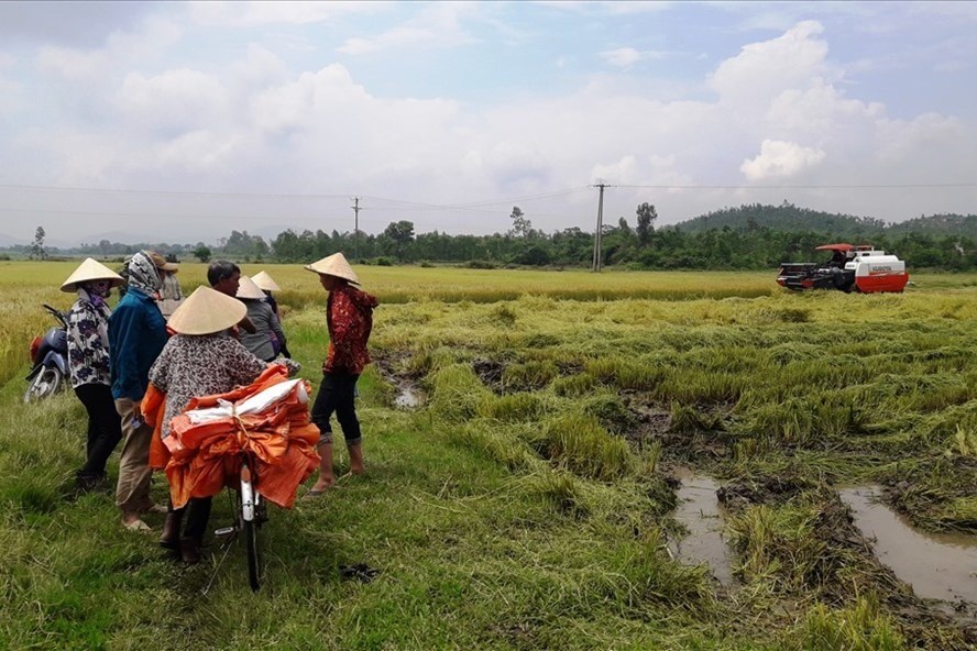 Chiếc máy gặt duy nhất tại thôn Quang Trung (Kỳ Xuân-Kỳ Anh-Hà Tĩnh) 'chém' giá cao, khiến nhiều nông dân bức xúc. Ảnh: Trần Tuấn