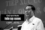 Infographic: Chân dung con người và sự nghiệp của Chủ tịch Nước Trần Đại Quang
