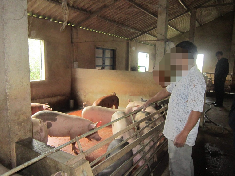 Một m&ocirc; h&igrave;nh trang trại chăn nu&ocirc;i lợn của người d&acirc;n x&atilde; Triệu Độ. Ảnh: HT.