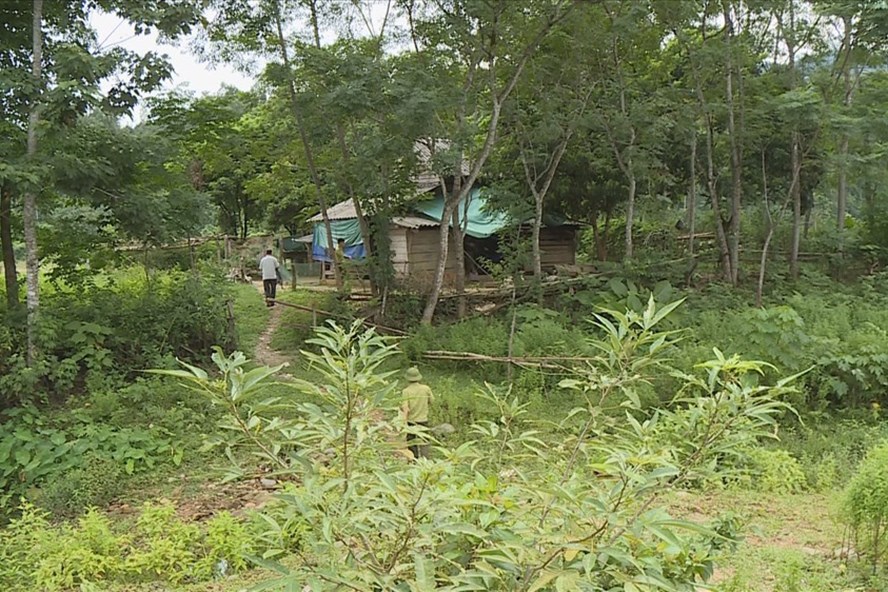 Vườn Quốc gia Vũ Quang (Hà Tĩnh): Bảo tồn rừng, lại phải “bảo tồn” thêm 36 hộ dân sống xâm canh bên trong