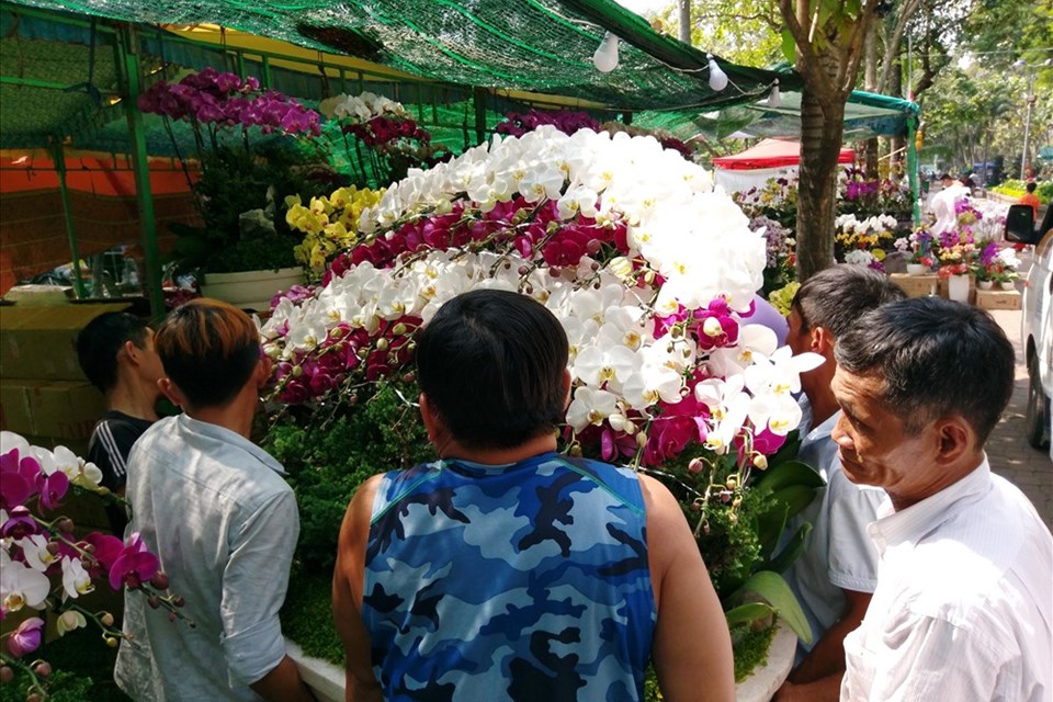 Muôn hoa khoe sắc tại các chợ hoa, điểm bán hoa kiểng ở TPHCM Muôn hoa khoe sắc tại các chợ hoa, điểm bán hoa kiểng ở TPHCM