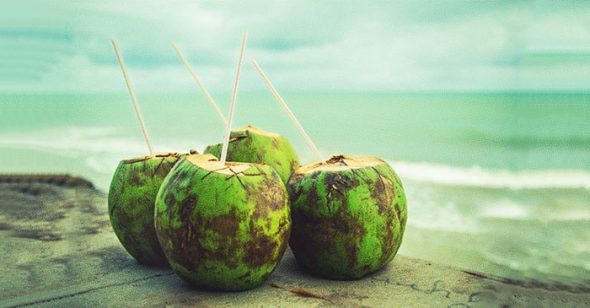 Nước dừa. ảnh: S.T