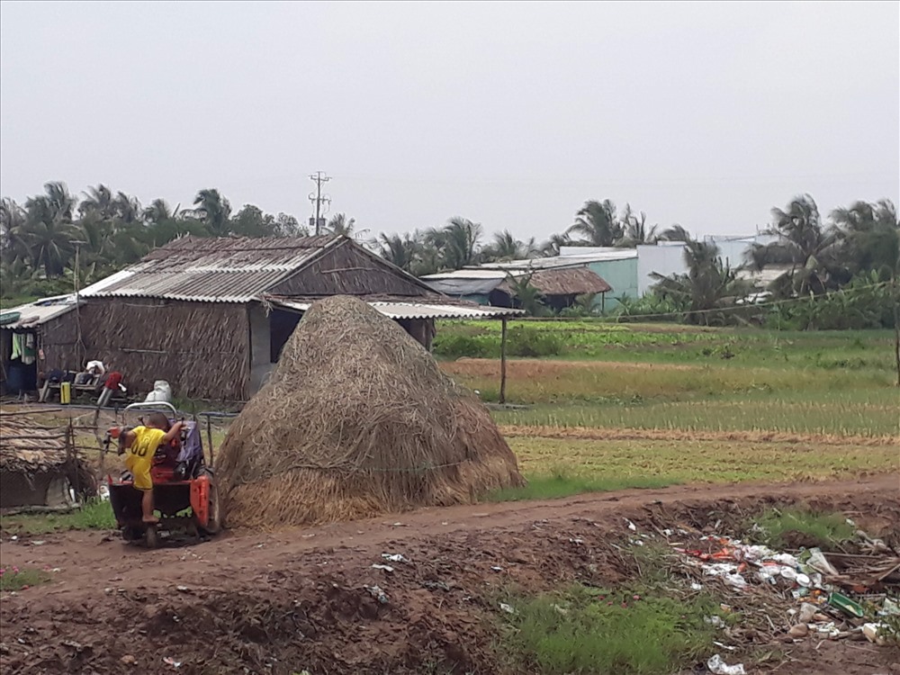 Nhiều vùng quê tại Bạc Liêu thanh niên đã ra đi tìm việc làm ở các thành phố lớn (ảnh Nhật Hồ)