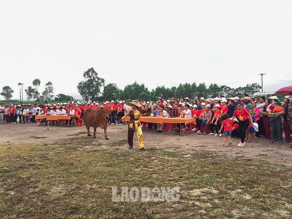 Hạnh Lâm là xã biên giới có tiềm năng và truyền thống chăn nuôi bò. Hiện tổng đàn trâu, bò trong xã có hàng nghìn con, trong đó bò cái sinh sản chiếm số lượng lớn. Ảnh: NVCC