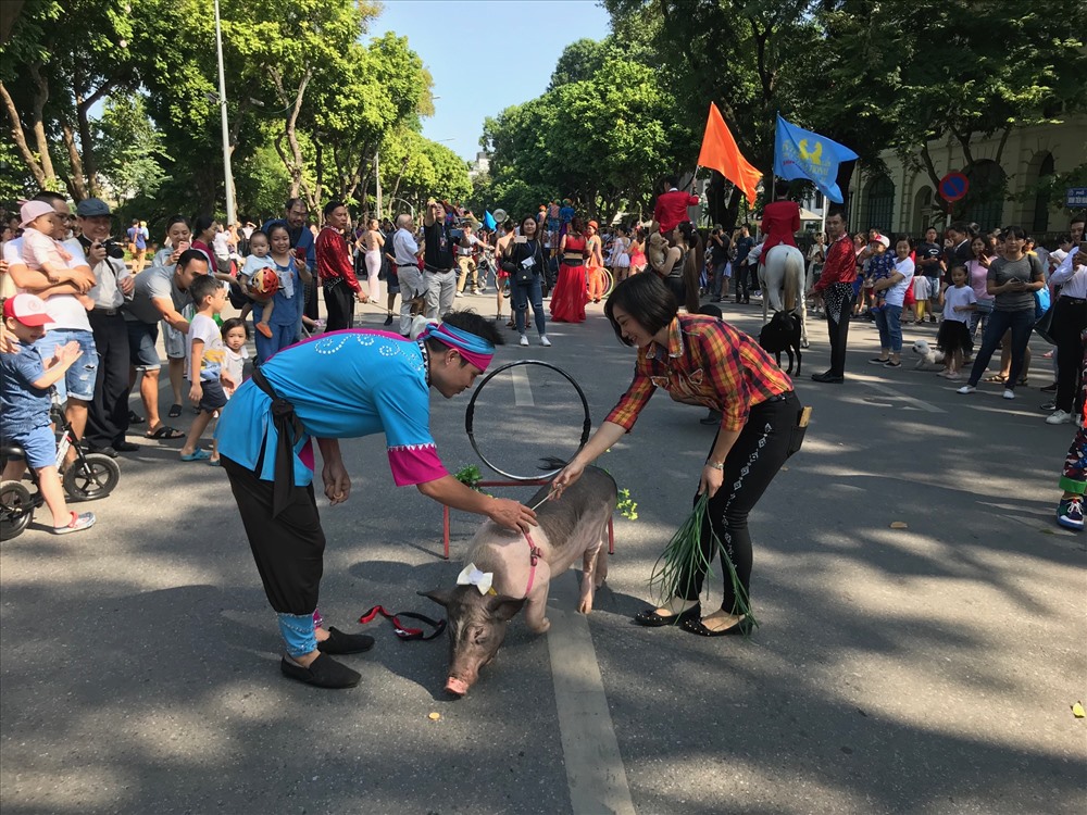 Những nghệ sĩ xiếc thú cùng các chú trâu, lợn, dê, ngựa, mèo, chó… đáng yêu dạo quanh cũng tô điểm cho buổi diễu hành thêm lôi cuốn, hấp dẫn. Ảnh: CNTBD.