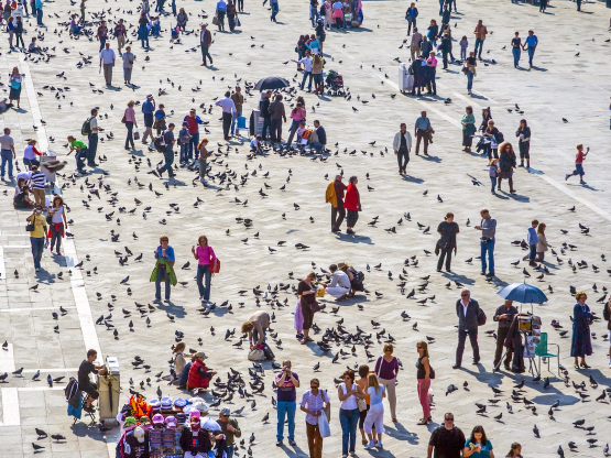 Ảnh: Jorg Hackemann/Shutterstock.