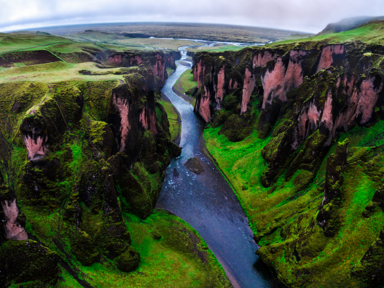 Ảnh: Blue Planet Studio/Shutterstock.