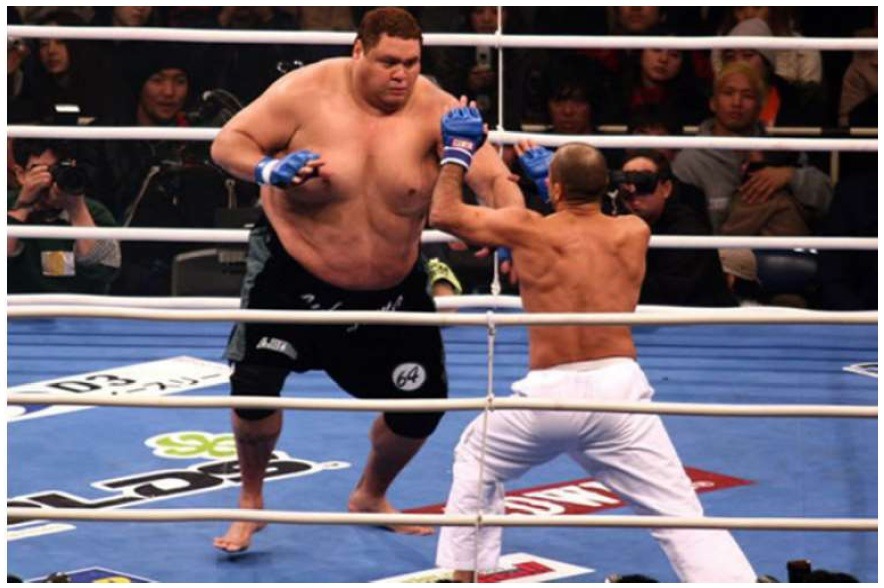 Royce Gracie vs Akebono