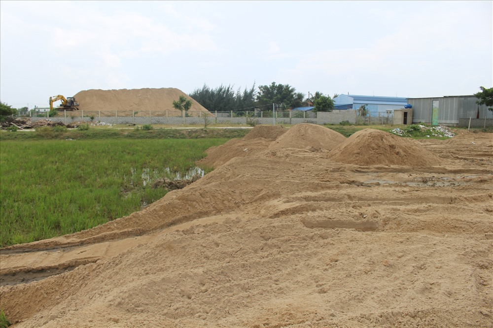 Nhiều trường hợp san lấp đất lúa bị chính quyền phát hiện tại phường Phước Mỹ, thành phố Phan Rang - Tháp Chàm trong thời gian qua. Ảnh: PV