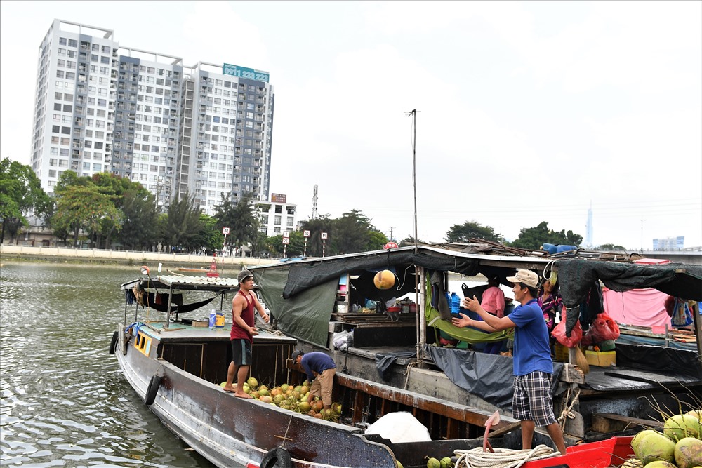 Tương phản.