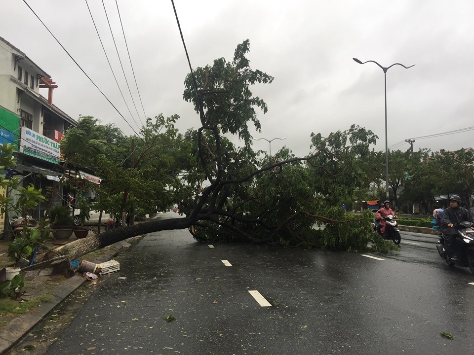 Các tuyến đường như Nguyễn Văn Linh, Đống Đa, Dương Vân Nga, Trần Hưng Đạo, Võ Chí Công, đường ven biển và cả một số điểm trên quốc lộ đi qua địa bàn thành phố xuất hiện nhiều cây gãy đổ, cản trở người tham gia giao thông.