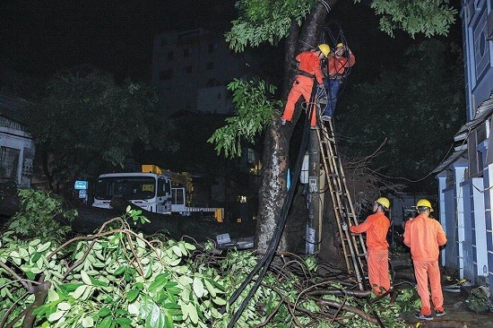 Điện lực Quảng Ngãi cắt tỉa một số cây cối ngã để đảm bảo an toàn lưới điện. Ảnh: T.C