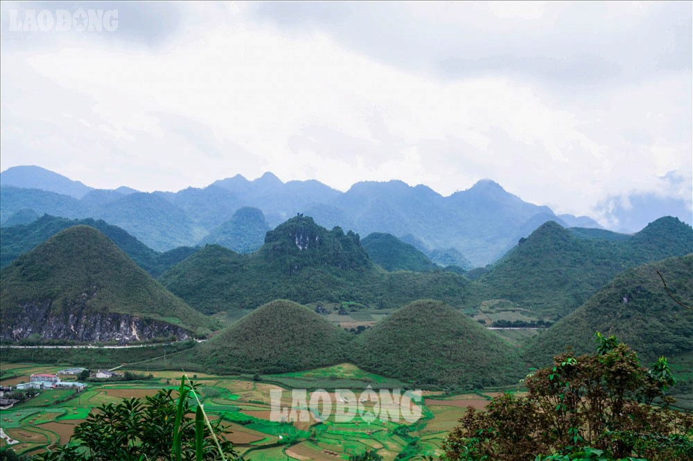 Điểm nhấn của thung lũng này là sự xuất hiện của hai trái núi trông như hai trái đào tiên, gắn với truyền thuyết Núi Cô Tiên rất thi vị. Người dân địa phương gọi đây là núi đôi Quản Bạ. Ảnh: Phan Anh