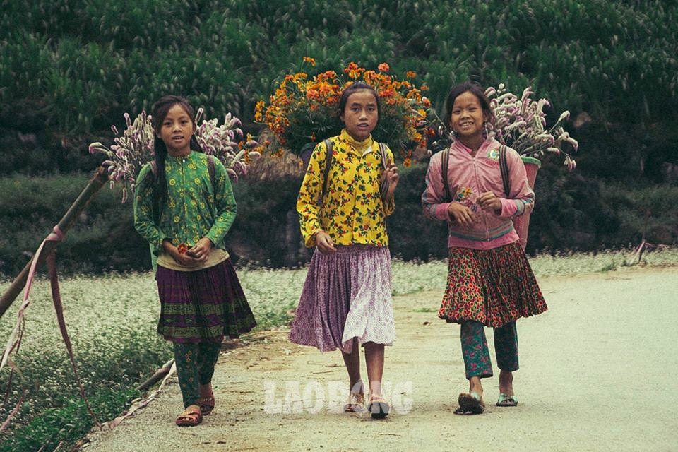 Làng văn hóa du lịch Lũng Cẩm chính là bối cảnh trong phim “Chuyện của Pao” nổi tiếng. Nơi đây còn lưu giữ nguyên vẹn bản sắc văn hóa của dân tộc Mông, với những ngôi nhà bằng đá truyền thống, phương thức canh tác cổ truyền và thái độ tiếp đón nồng hậu của những người dân mộc mạc, hiền lành nơi đây.