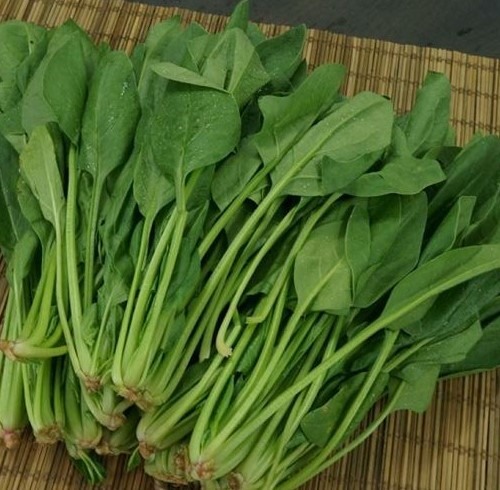 canxi, vitamin A, B9, E và C, sắt, chất xơ. ảnh: ST