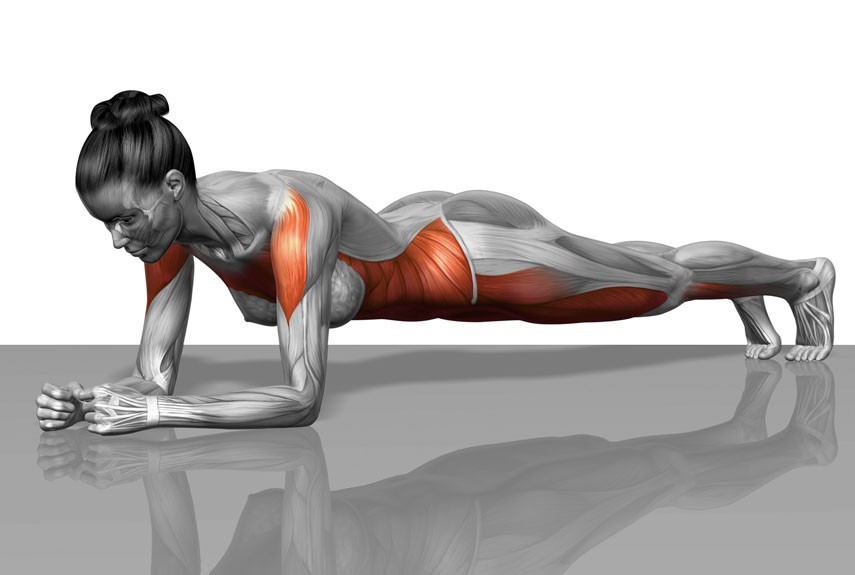 Tư thế plank đúng